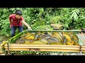 Download Lagu The boy caught fish using the ancient method of trapping fish. Luckily, he caught a big haul of fish