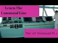 Learn the Command Line cd I codecademy Tutorial