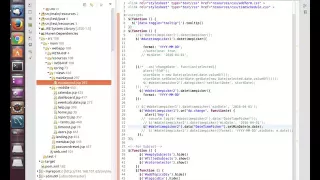 Firebug debug option
