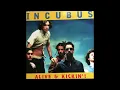 Incubus - A Certain Shade Of Green (Acoustic)