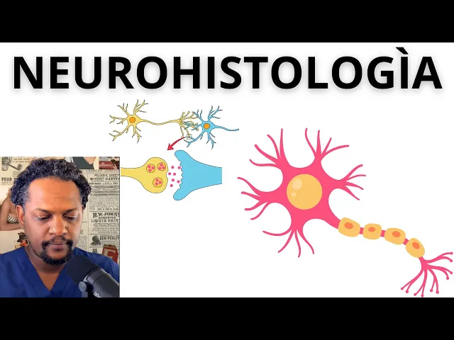 EP-1 NEUROHISTOLOGÍA (LO QUE TIENES QUE SABER EN NEUROANATOMÌA)