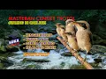 Download Lagu MASTERAN CENDET TROTOL MATERI PALING DI SUKAI JURI ll SUARA JERNIH DI JAMIN MUDAH MASUK