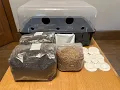 Growing With the Boomr Bin CVG Kit From North Spore