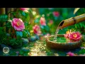 Download Lagu Healing Sleep Music 🌿 Water Sound, Calming Music, Deep Sleep, Relieve Stress, Anxiety and Depression