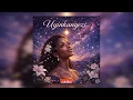 Dj Njebza - Uyinkanyezi  (Official Audio) 