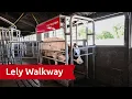 Download Lagu Lely Walkway