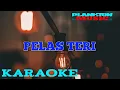 Download Lagu PELAS TERI KARAOKE