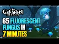 Fluorescent Fungus Locations Fast and Efficient Route Ascension Materials Genshin Impact