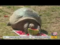 Pennsylvania s top animal stories of 2025