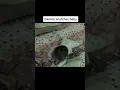 Download Lagu Dark Web 😱 Scariest Things Found On Deep Web || Credits To @ycezy tiktok #Shorts