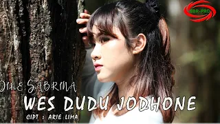 Download WES DUDU JODHONE - DIKE SABRINA  [  FULL HD ] MP3