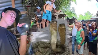 NAGULAT ANG LAHAT SA MABALASIK NA KING COBRA 😱
