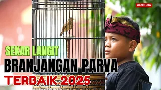 branjangan parva terbaik 2025 
