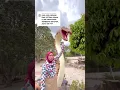 Download Lagu GEGER , ULAR ANAKONDA TERBESAR DIDUNIA ????