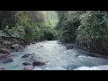 Download Lagu MANGGARAI, NAGEKEO NGADA, FLORES