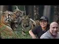 Download Lagu The Tiger Sighting I had always Dreamt Of | Sony ALPHA-1 4K | Pench Tiger Reserve ATR DAILY VLOG -46