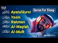 Download Lagu Beautiful Quran Before Sleep | Al-Fatiha,Ayatul Kursi,Surah Ar-Rahman, Al-Mulk, Yasin - By Alaa Aqel