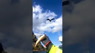 خلك مثل الصقر 