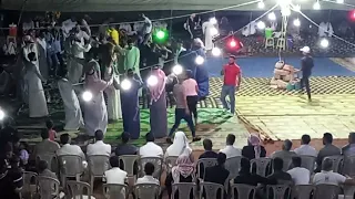 مولد بي ريف حماة بي الشير عند ابو انور    دندنها