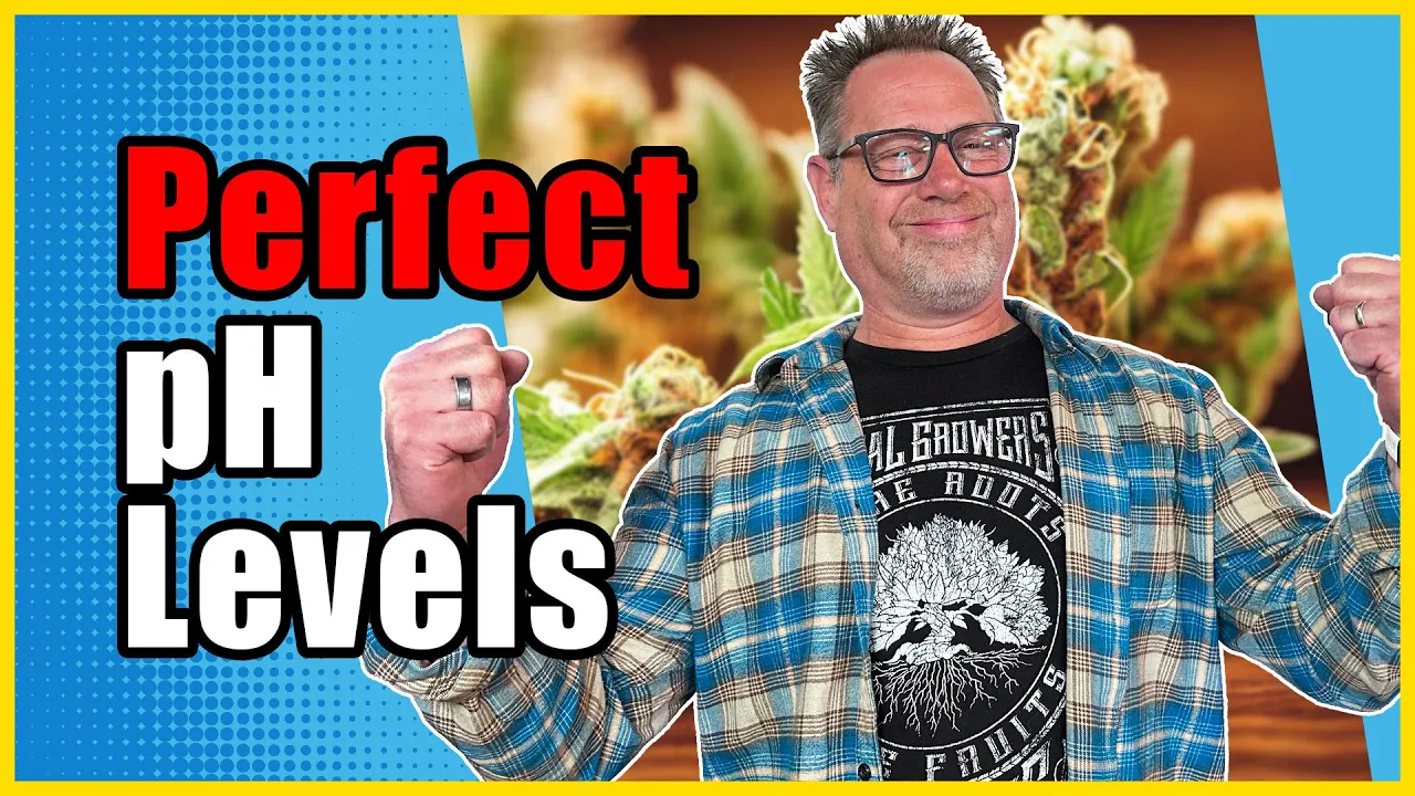 Pro Cannabis Growers Do THIS to Get PERFECT pH Levels