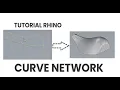 TUTORIAL RHINOCEROS - Cara Membuat Curve Network INDONESIA