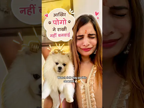 Pogo ne yeh kya kiya 😭🥹🐶 #youtubeshorts #rakshabandhan #comedy