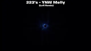 Download 223‘s - YNW Melly (Lofi Remix) MP3