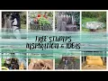 Tree Stumps Inspiration and Ideas Love Your Space