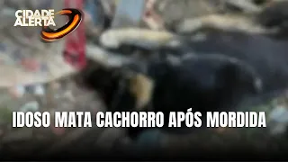 Idoso mata cachorro após ser mordido em cidade de SC