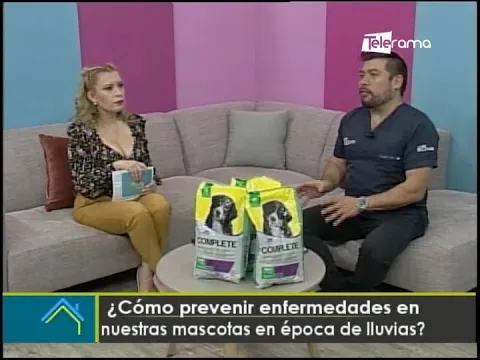 ¿Cómo prevenir enfermedades en nuestras mascotas en época de lluvias?