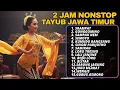 Download Lagu 2 Jam Tayub Jawa Timur Asli yang Jarang Diunggah – Wajib Ditonton!