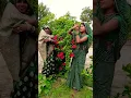 Download Lagu #song #bannibannageet #sorts #bharatiyasangeet #comedy #funny #dance #comedysong #funnysong