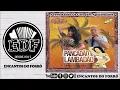 Forró Cintura De Mola - Volume 17