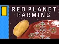 Space Potatoes Red Planet Farming Martian Farming Strategy Game