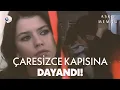 Download Lagu Bihter'in Son Çırpınışları - Aşk-ı Memnu Kolaj