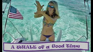 A Whale of a good time