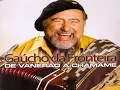 Download Lagu GAÚCHO DA FRONTEIRA GRANDES SUCESSOS TOP BAILÃO