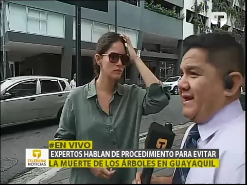 Expertos hablan de procedimiento para evitar la muerte de los árboles en Guayaquil