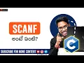scanf C Language in Telugu