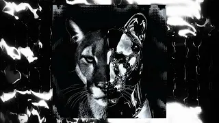 what the frick ultra slowed 