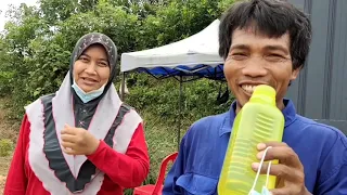 kebun cili api rajo di sikamat seremban olah semula tanah 
