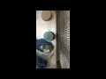 Holy Grail - no pour container inoculation