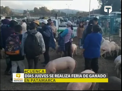 Día jueves se realiza feria de ganado en Patamarca