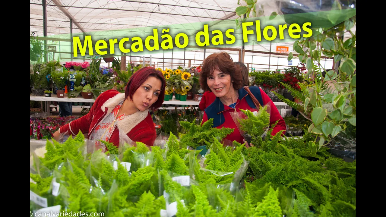 MERCADÃO DAS FLORES, IMAGINE VOCÊ ANDANDO NESTES CORREDORES, JARDINAGEM, ORQUÍDEAS, ESTILO DE VIDA