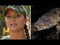 18-FOOT-LONG SERPENT Strikes Again Swamp People Serpent Invasion Season 3 History