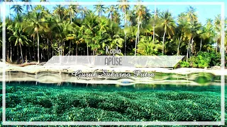 lagu daerah indonesia papua biak apuse koplo video lyric