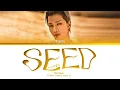 Download Lagu TAEYANG Seed Lyrics (태양 나의 마음에 가사) (Color Coded Lyrics) | 1 Hours Lyrics