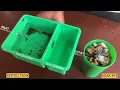How a septic tank works What is a septic tank