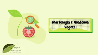 Anatomia e Morfologia Vegetal