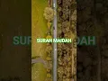 Download Lagu SURAH MAIDAH #translation #quran #surahmaidah